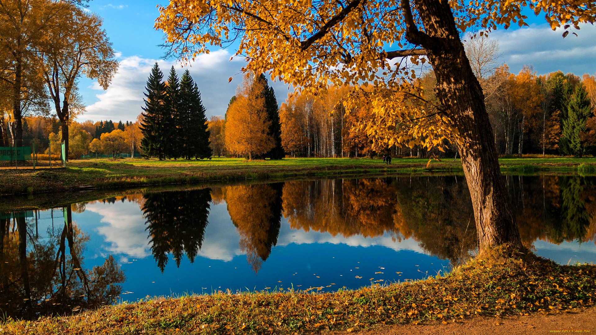 природа, реки, озера, озеро, деревья, лес, осень, листья