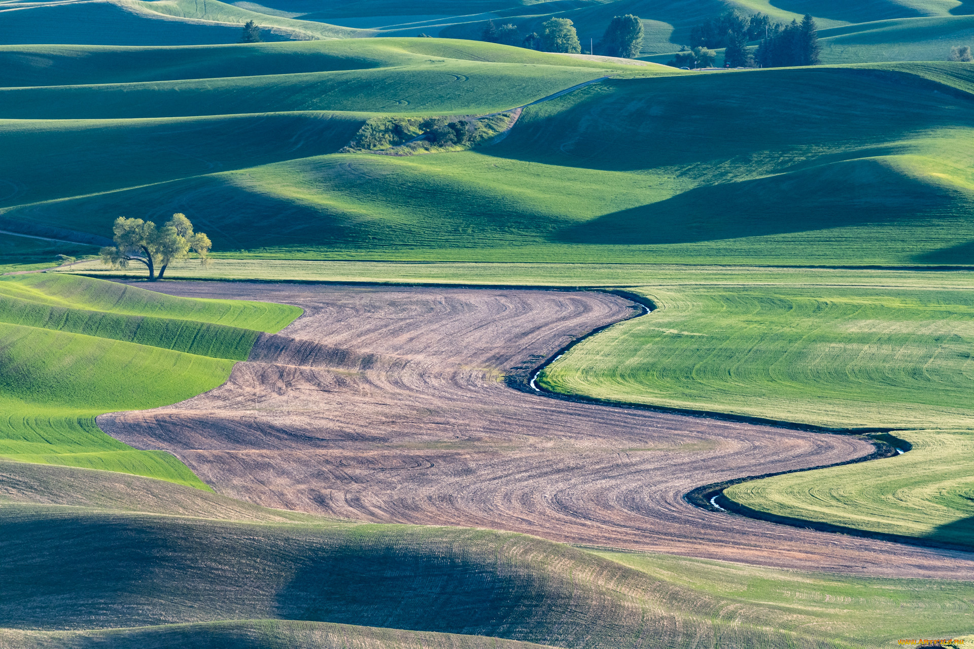 природа, луга, пейзаж