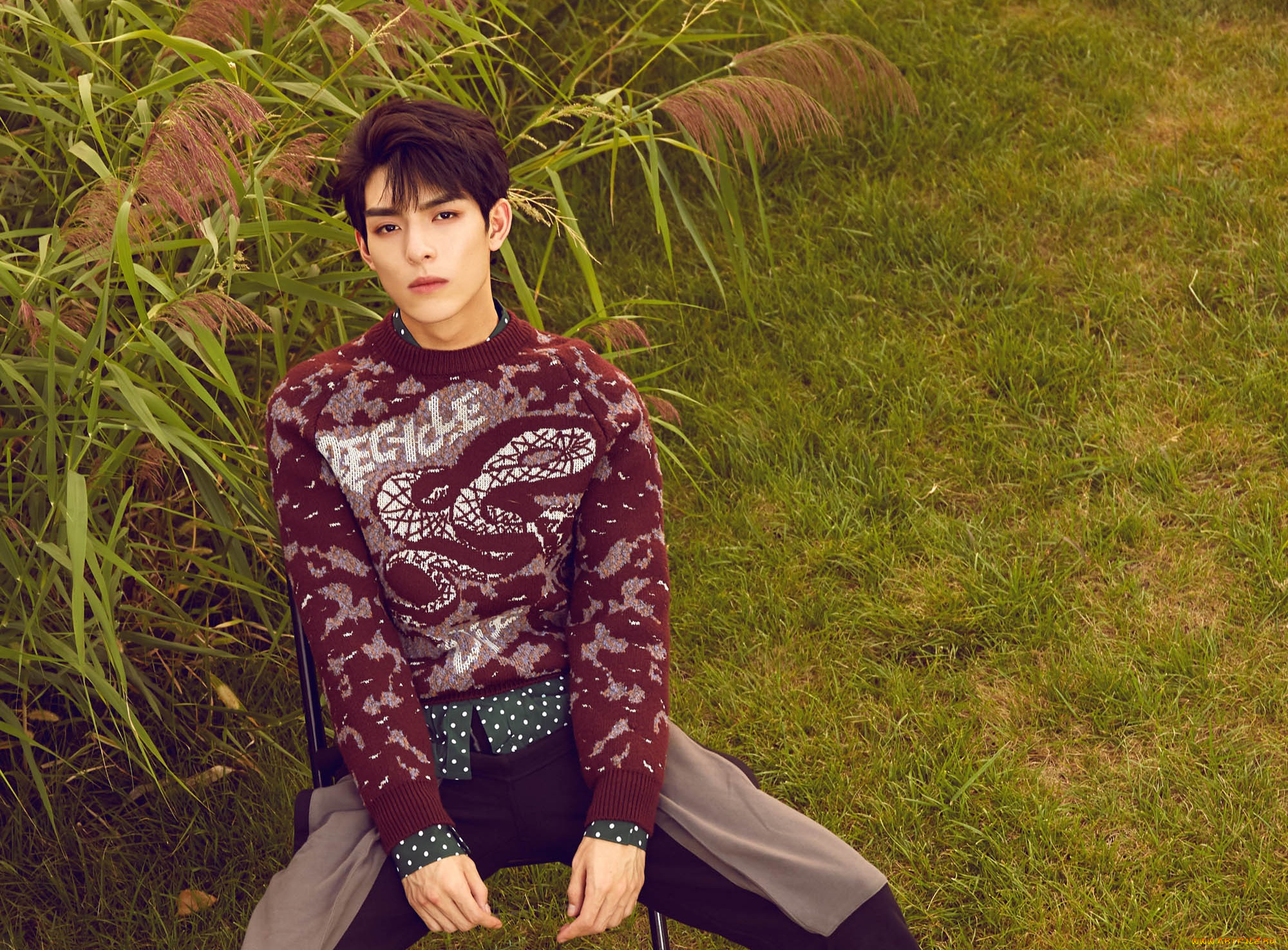 мужчины, wang, hao, xuan, ван, хао, сюань