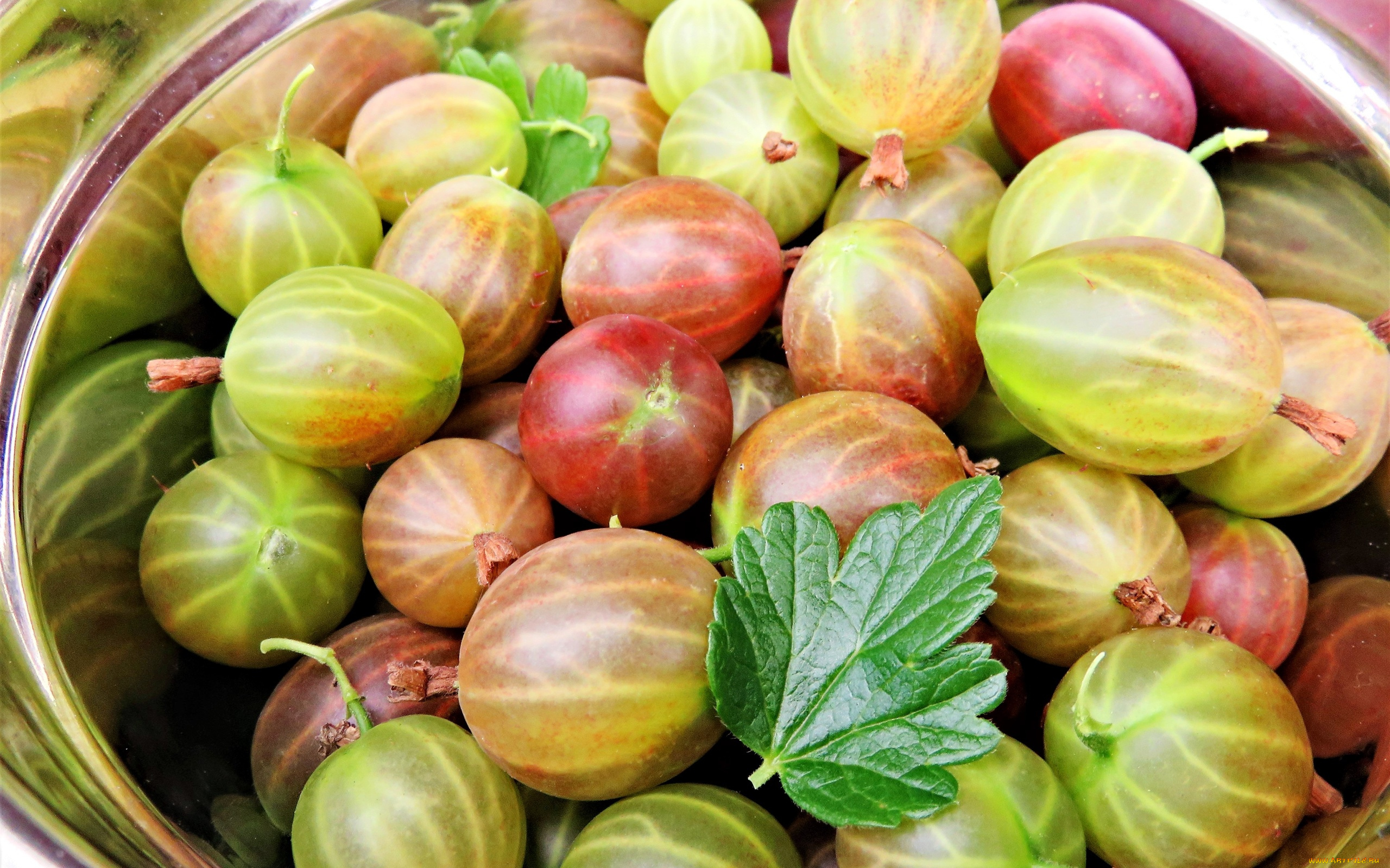 еда, крыжовник, ягоды, спелый, макро