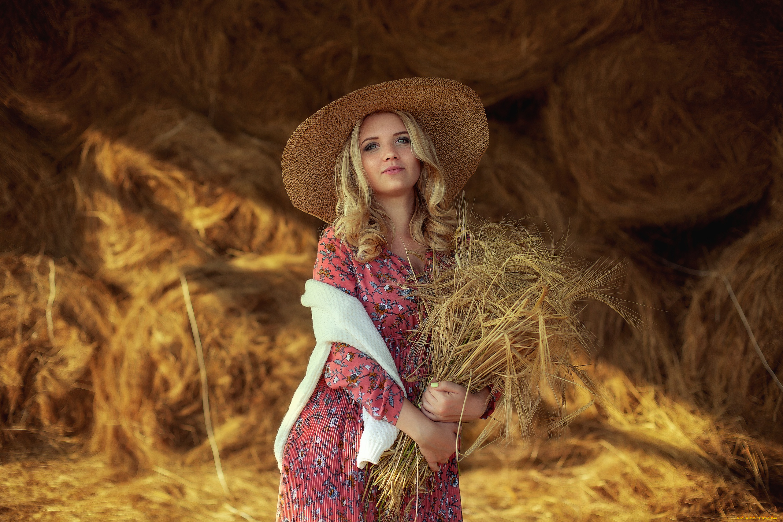 девушки, -, блондинки, , светловолосые, девушка