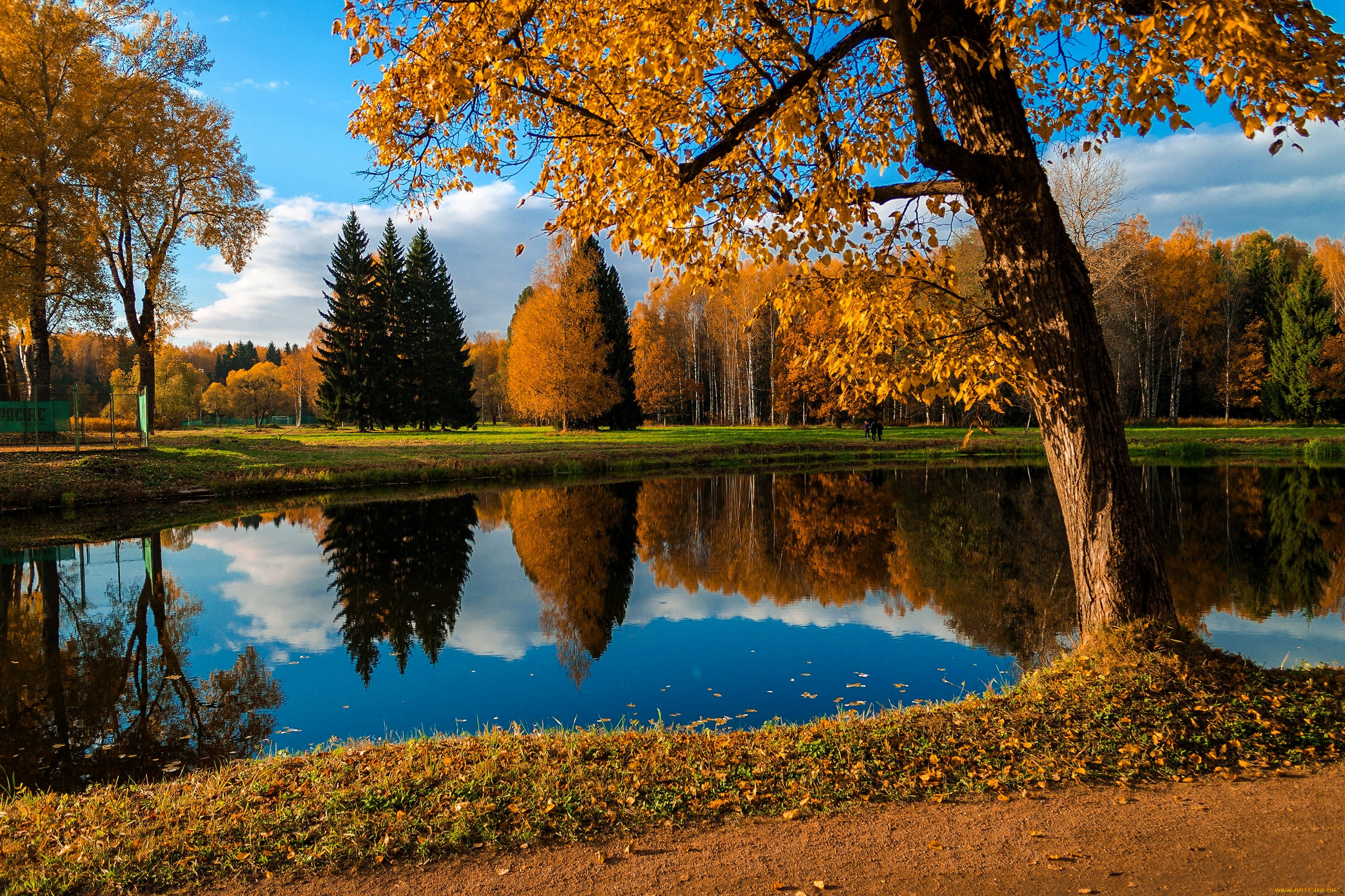 природа, реки, озера, озеро, деревья, лес, осень, листья