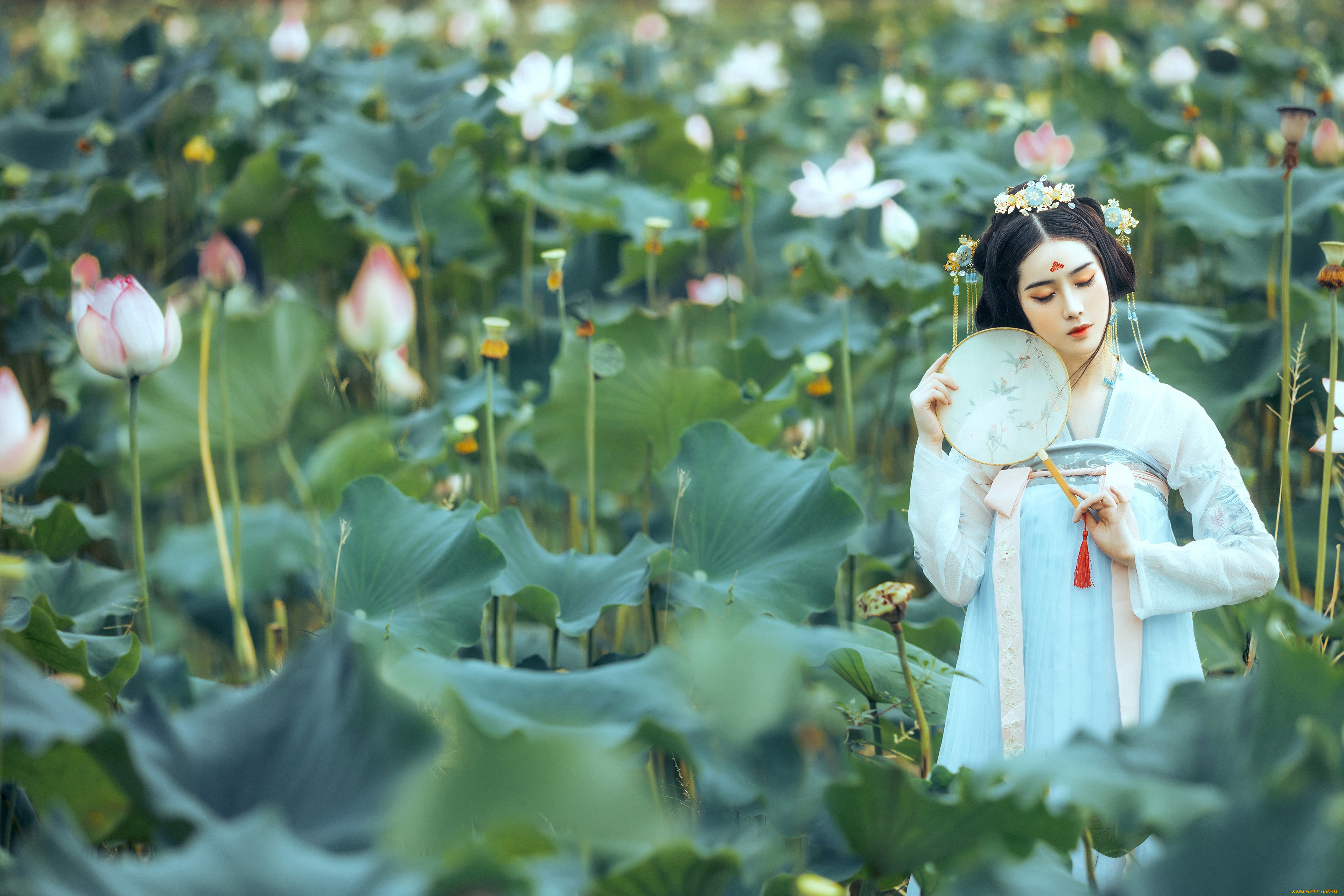 девушки, -, азиатки, девушка