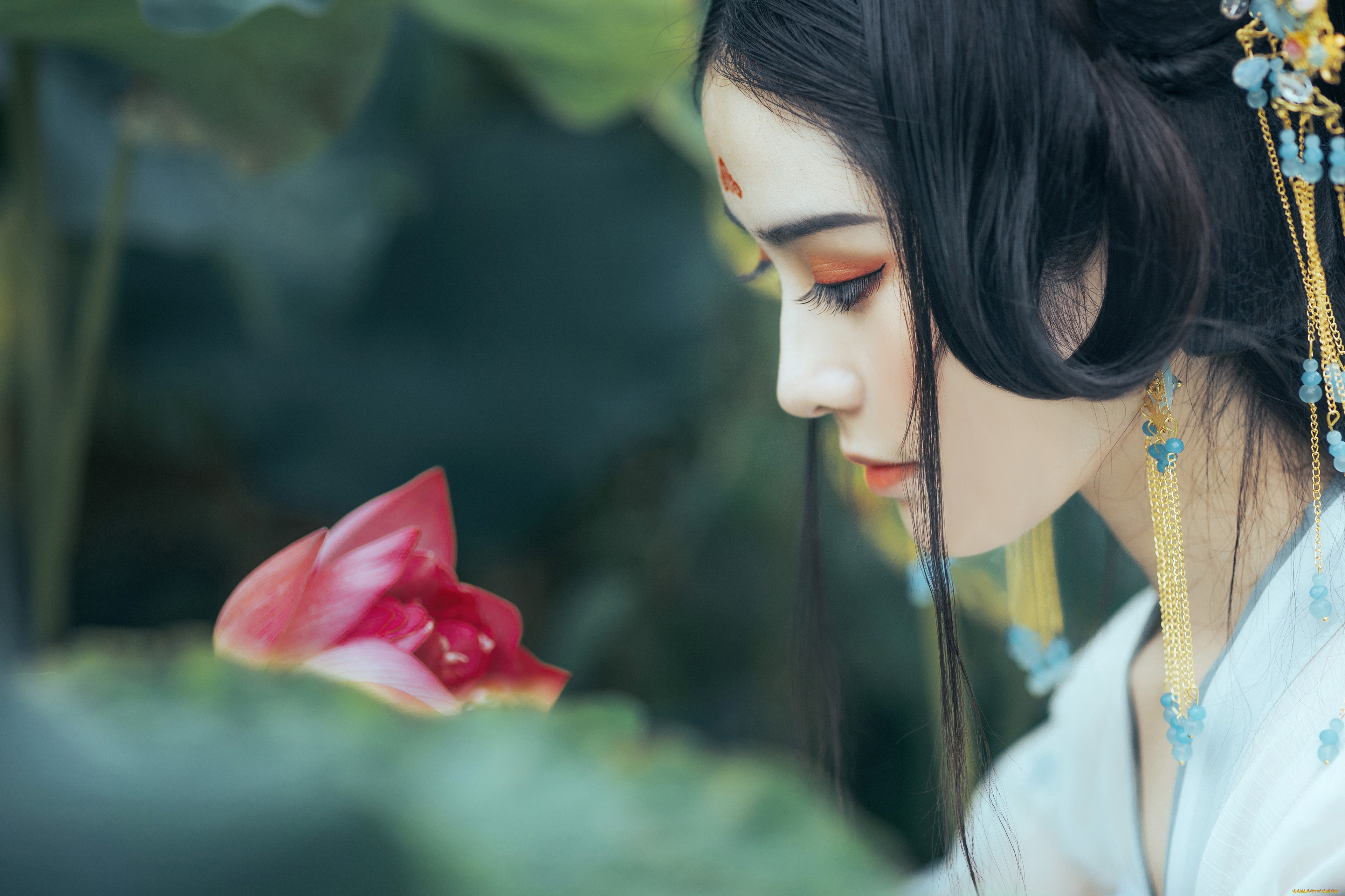 девушки, -, азиатки, девушка