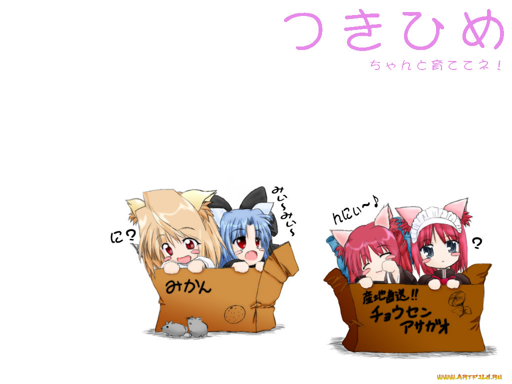 аниме, tsukihime