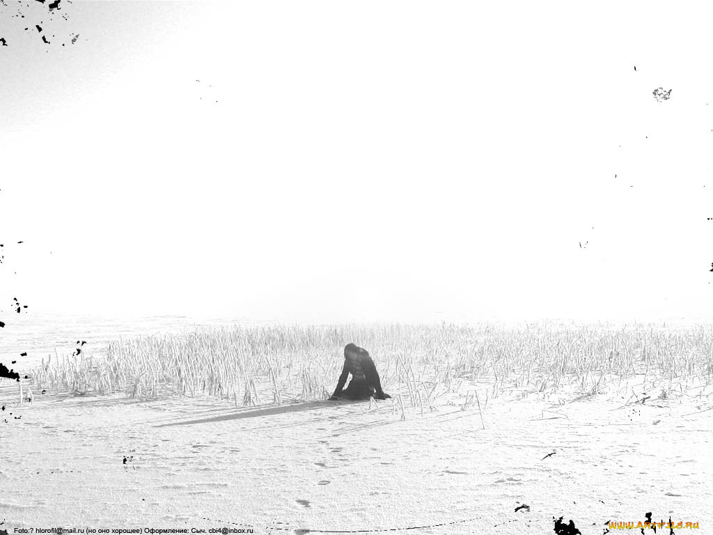 векторная, графика