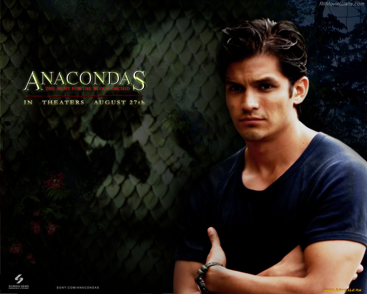 кино, фильмы, anacondas