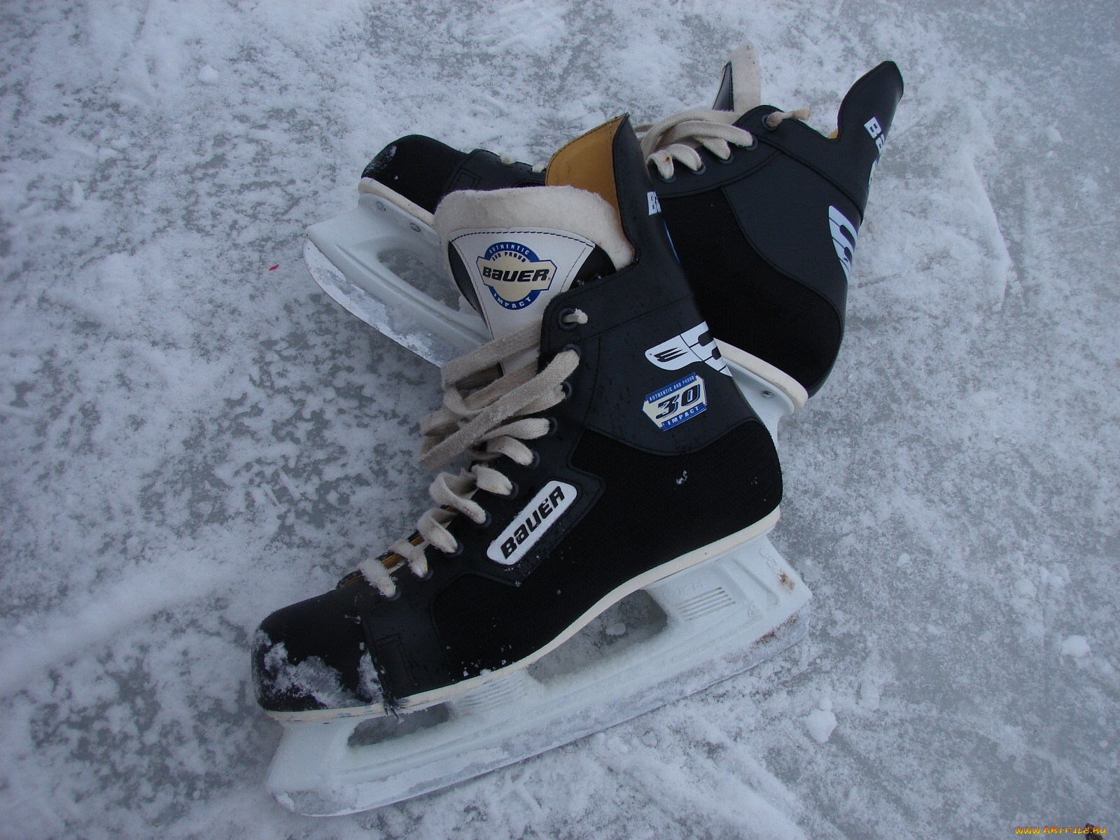 спорт, хоккей