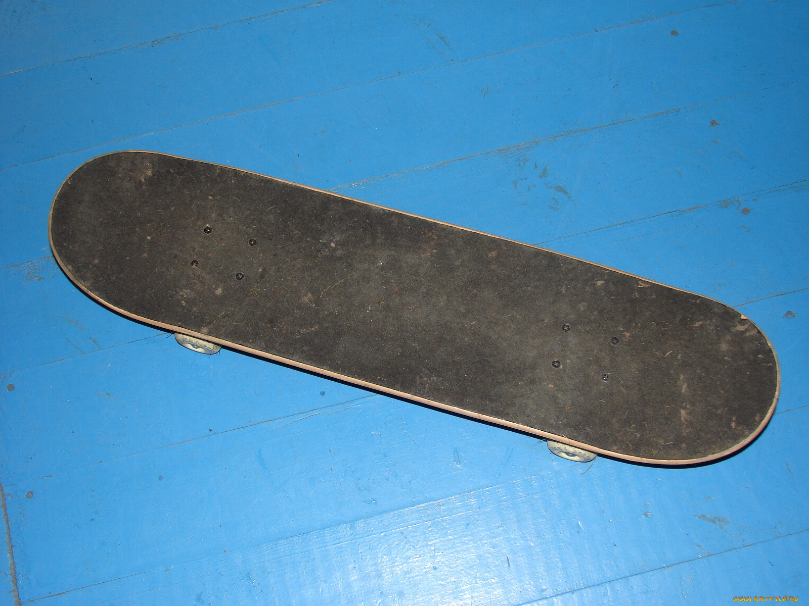 спорт, скейтборд