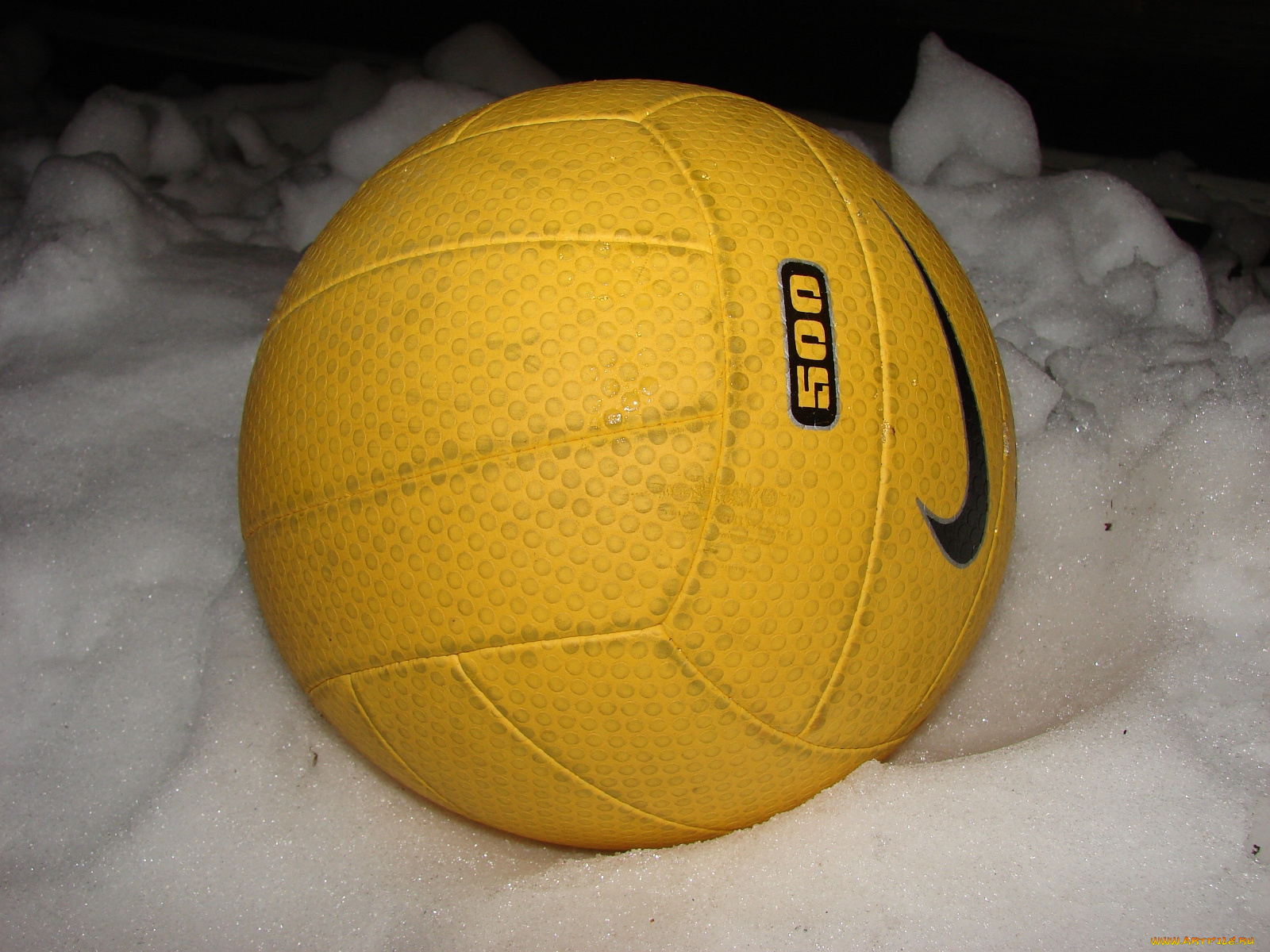 спорт, волейбол