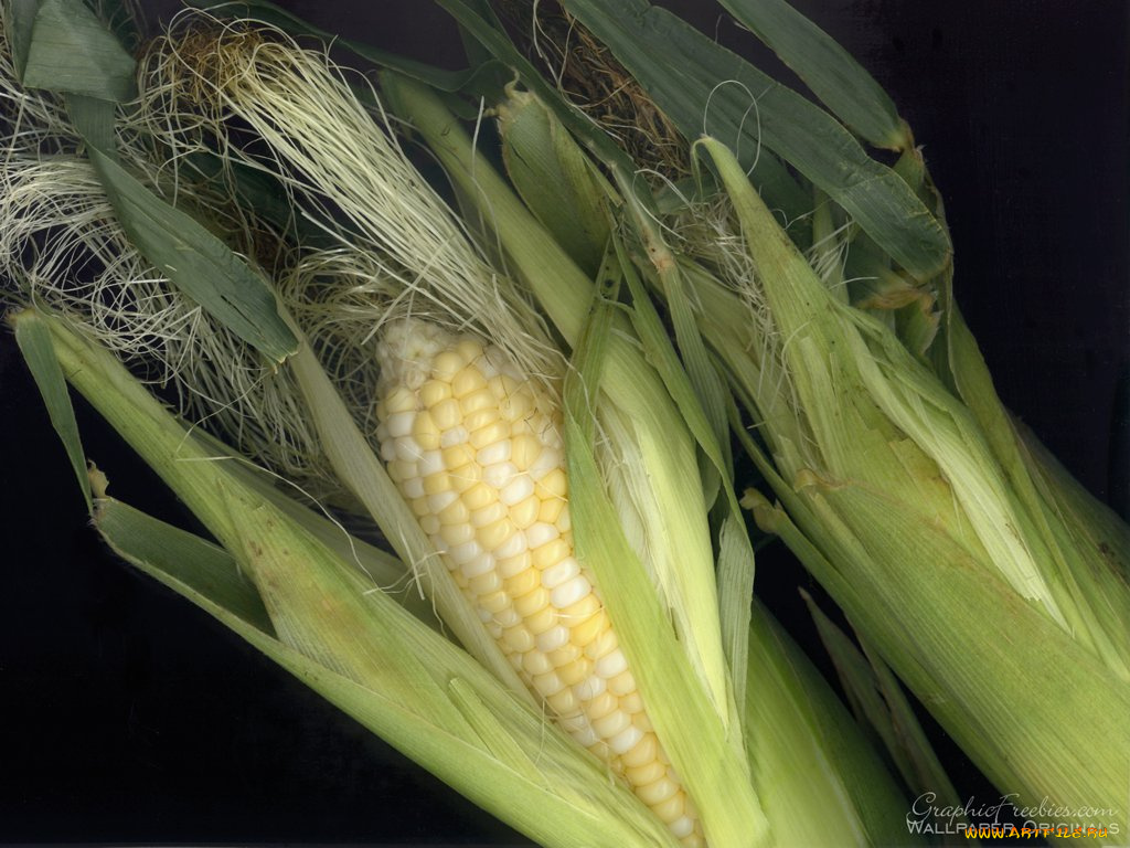 еда, кукуруза