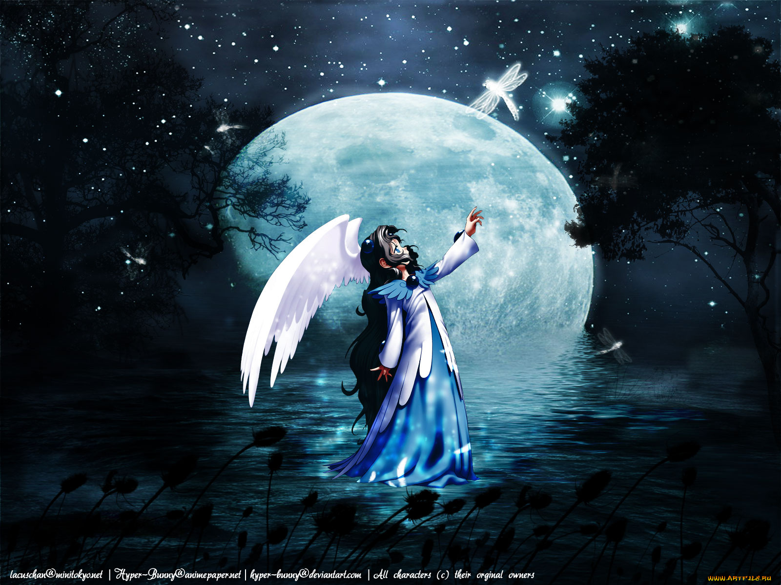 аниме, card, captor, sakura