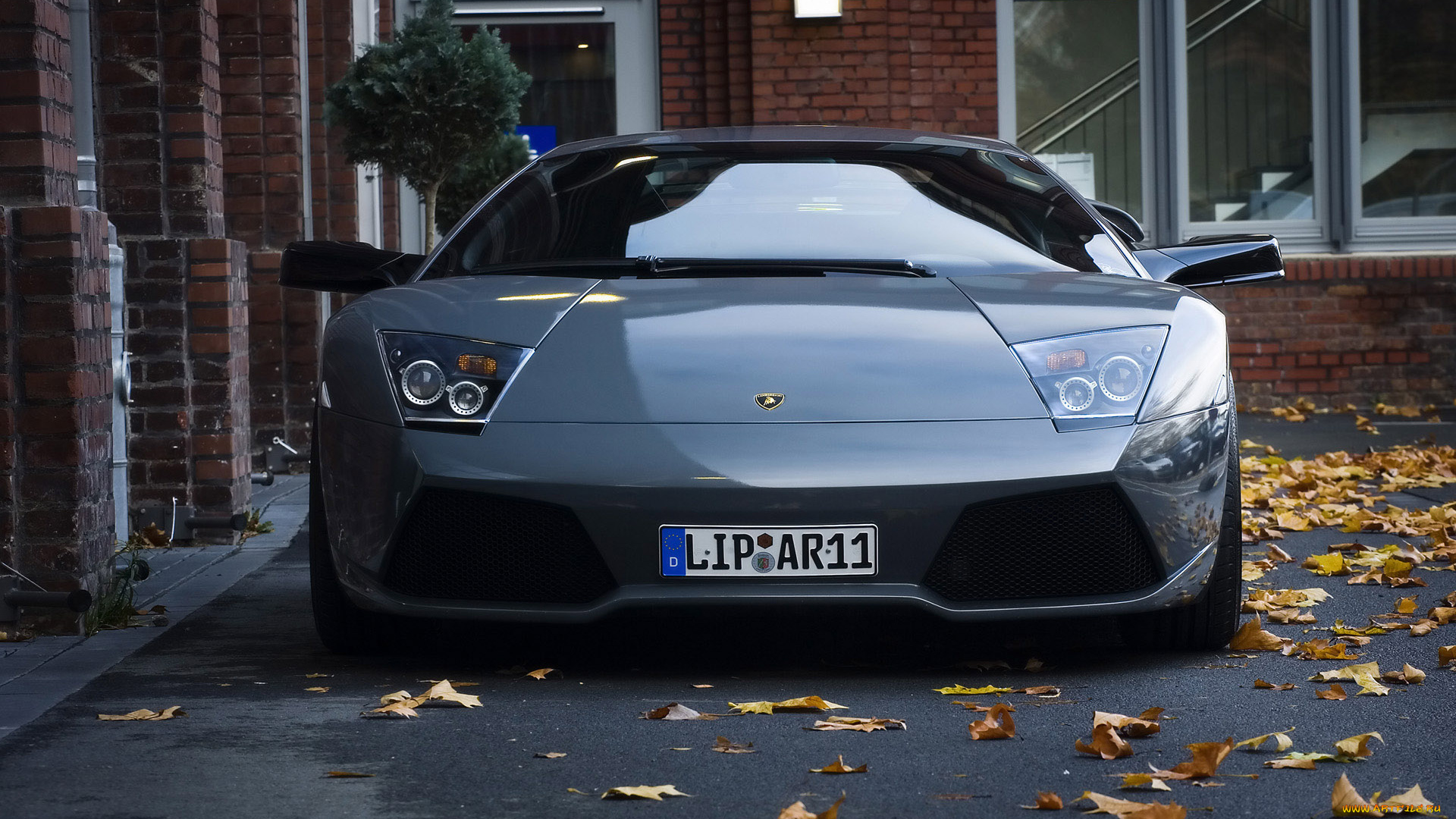 автомобили, lamborghini