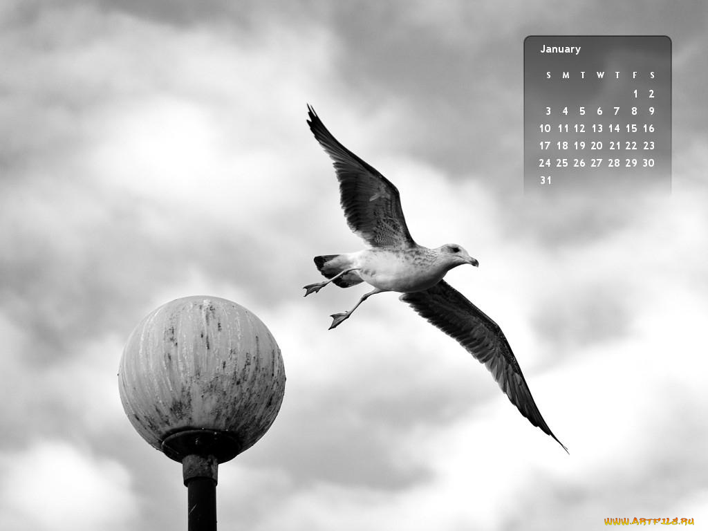 календари, животные