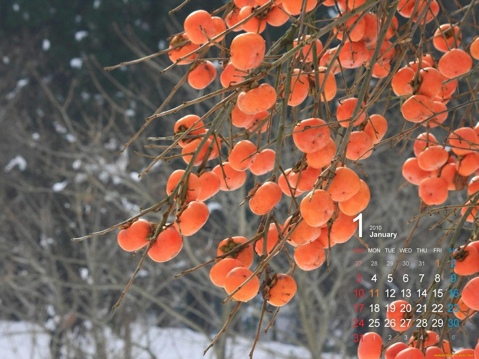 календари, природа