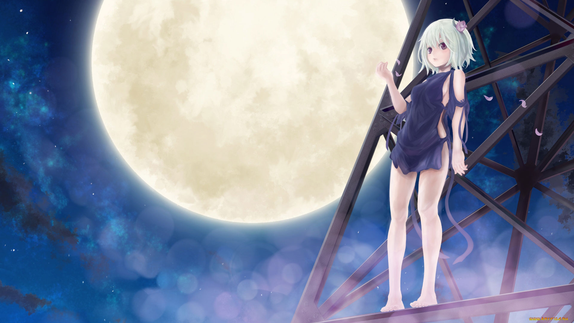 аниме, *unknown, другое