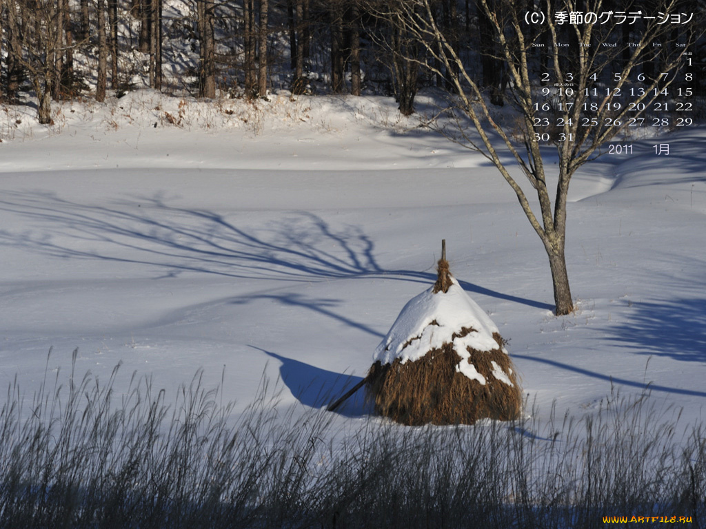 календари, природа