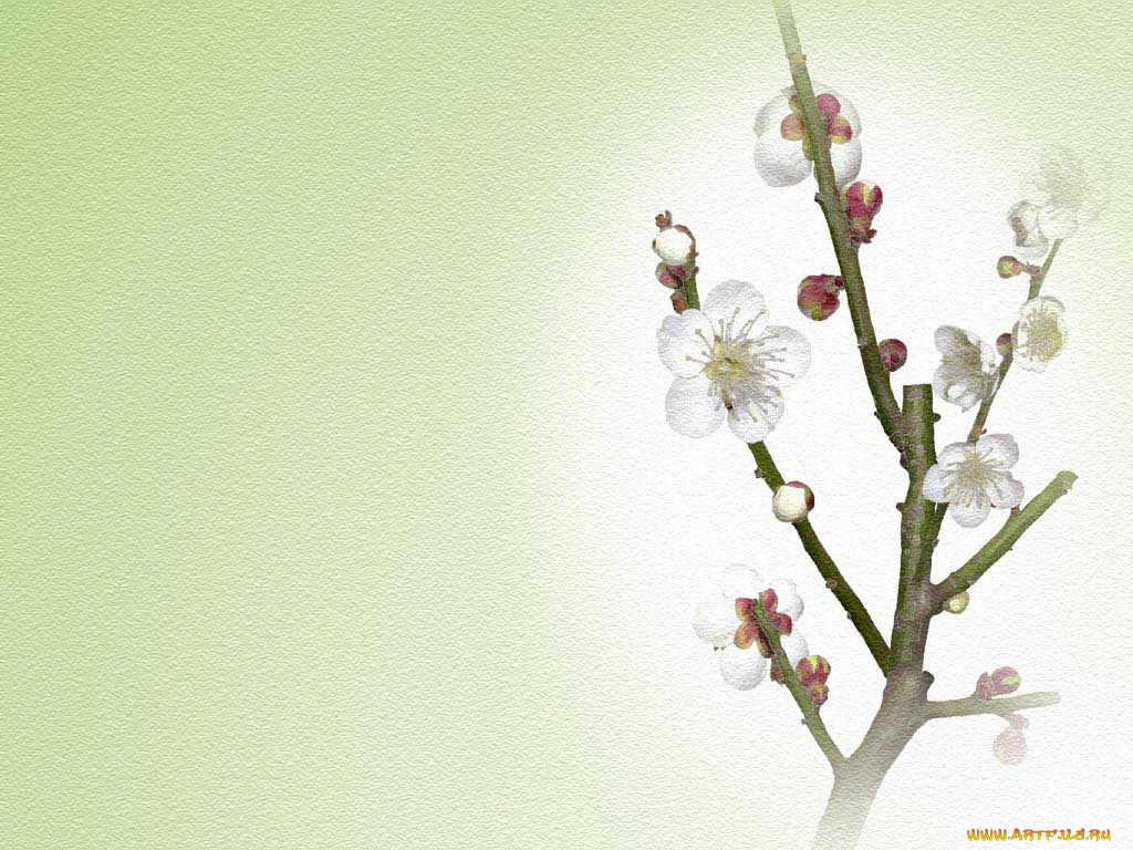 рисованные, цветы