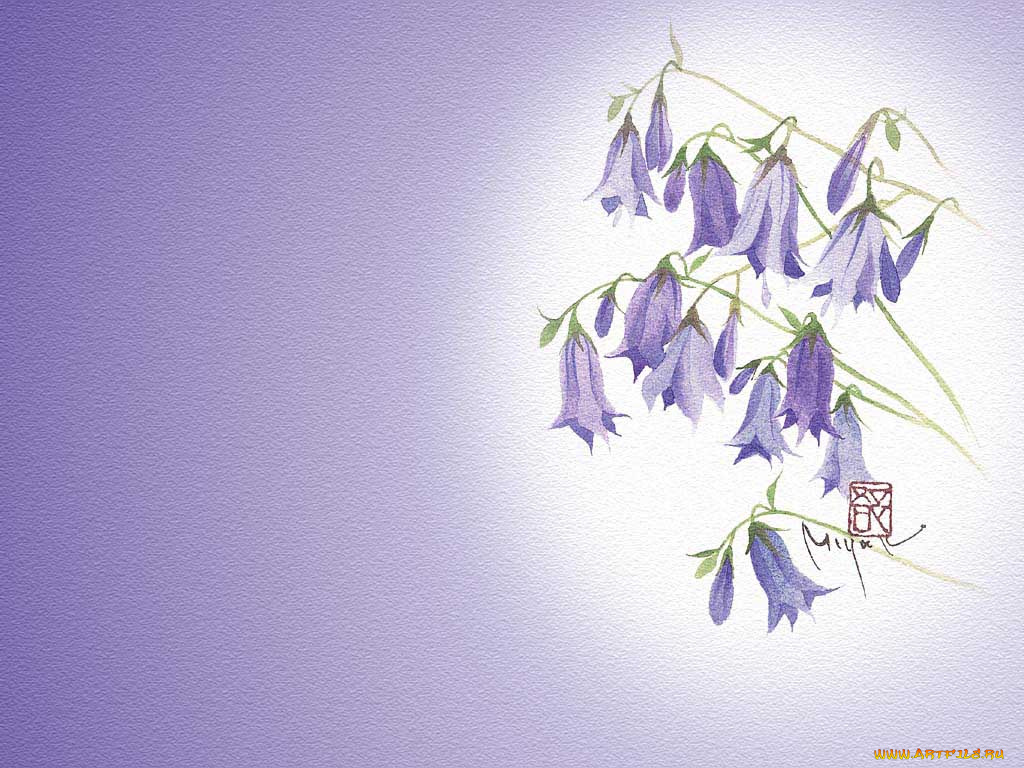 рисованные, цветы