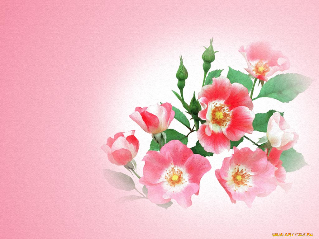 рисованные, цветы