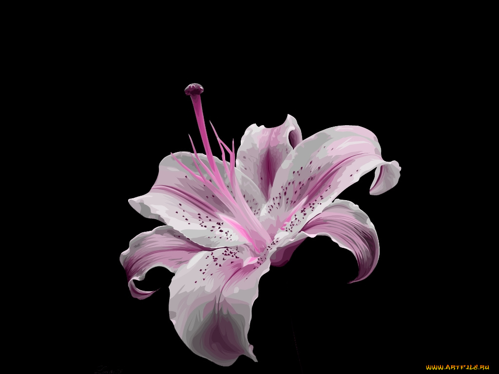 векторная, графика