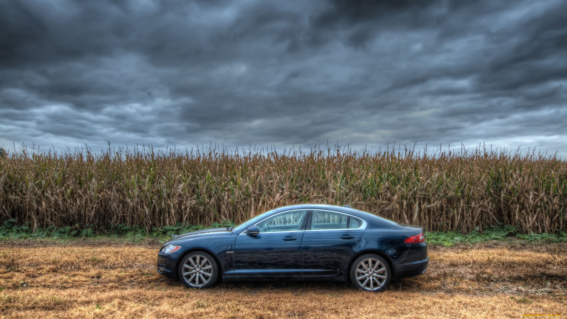 jaguar, автомобили