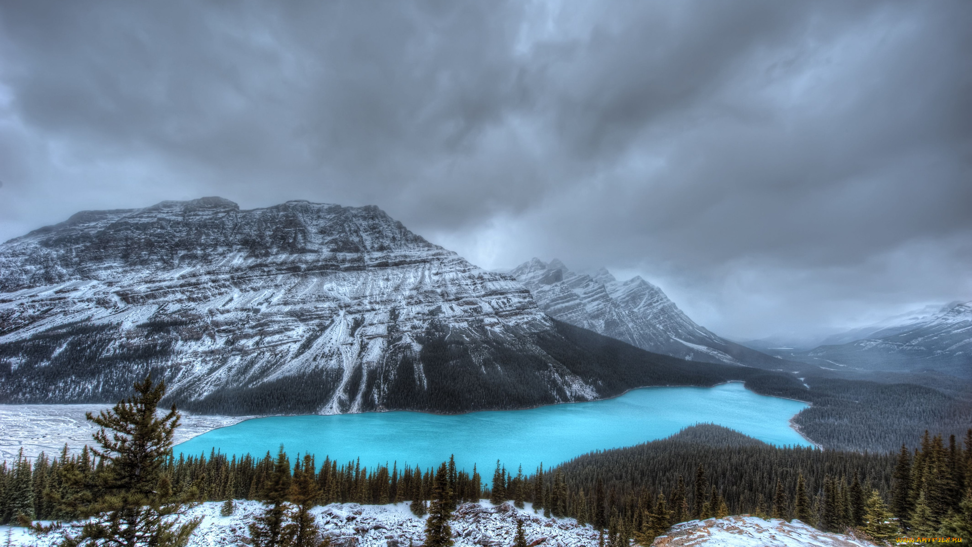 природа, реки, озера