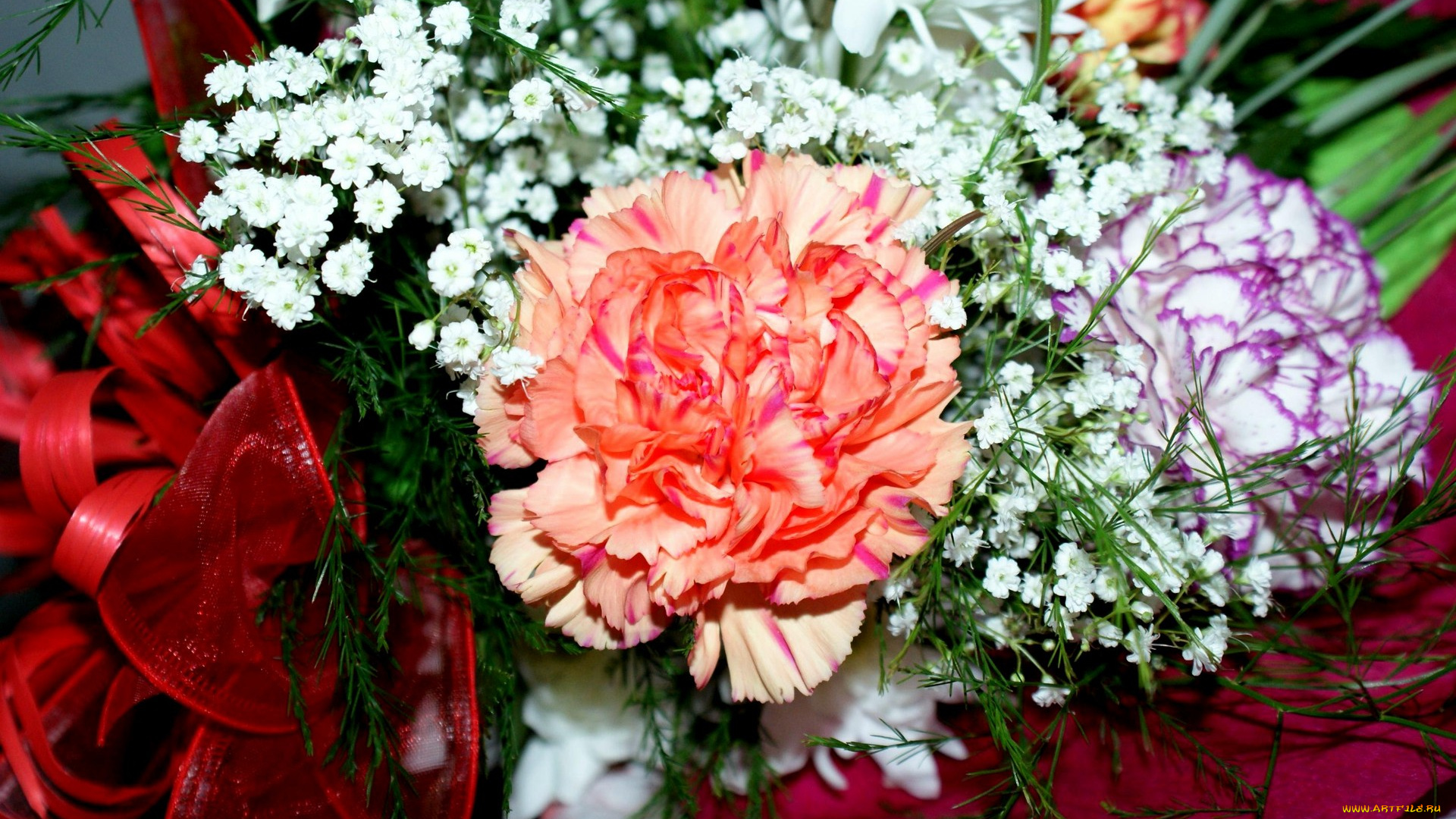 автор, geronimo, цветы, букеты, композиции, гвоздики