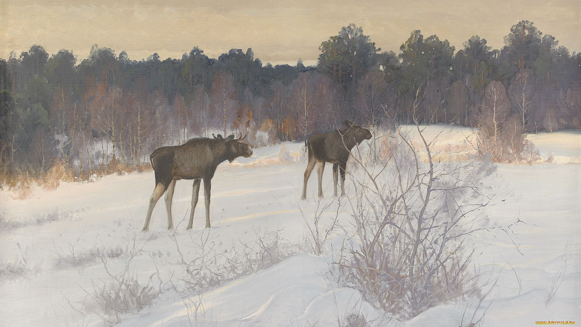 рисованные, carl, brandt, лось