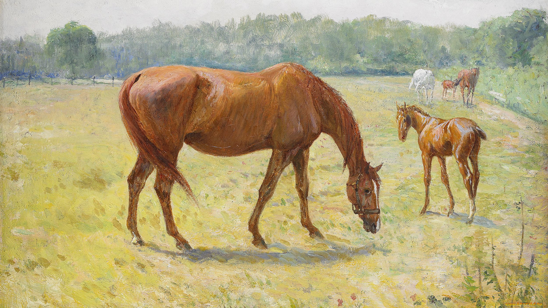 рисованные, georg, arsenius, лошадь