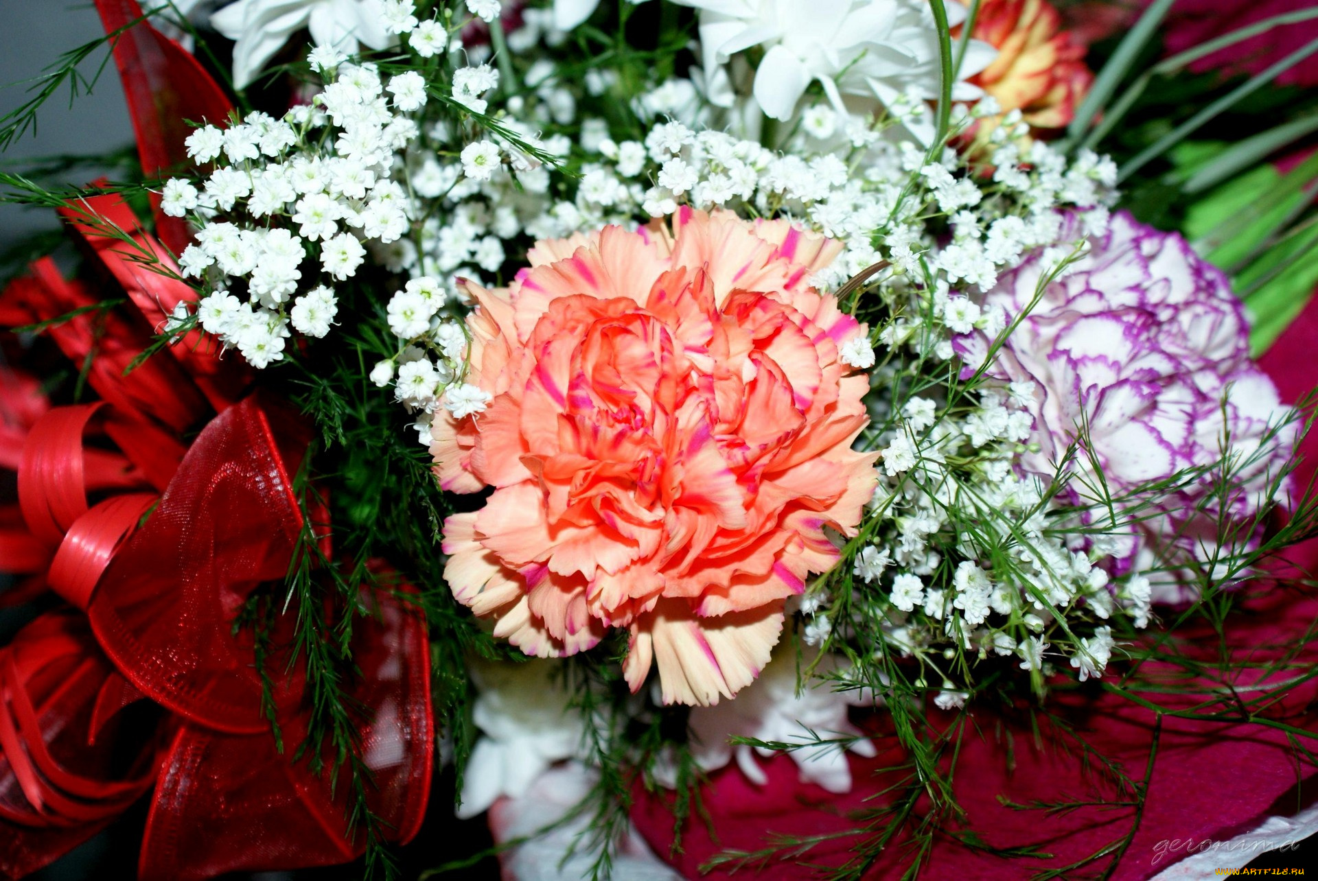 автор, geronimo, цветы, букеты, композиции, гвоздики