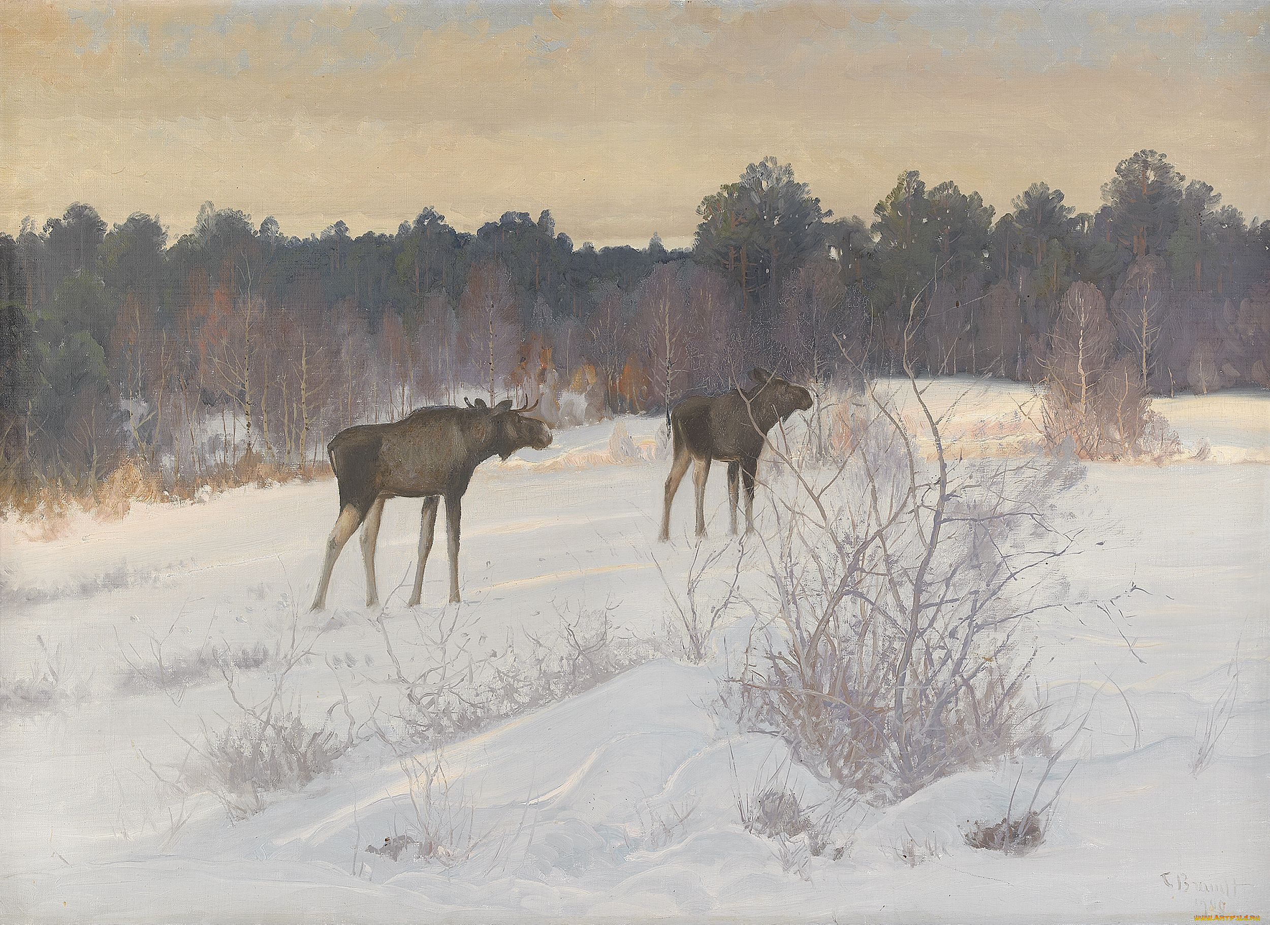 рисованные, carl, brandt, лось