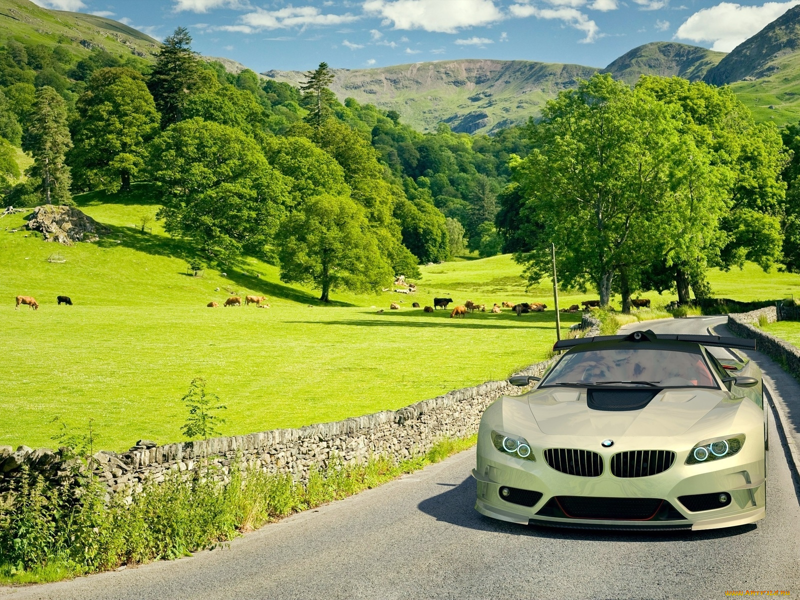 автомобили, bmw, дорога, забор, луг, горы