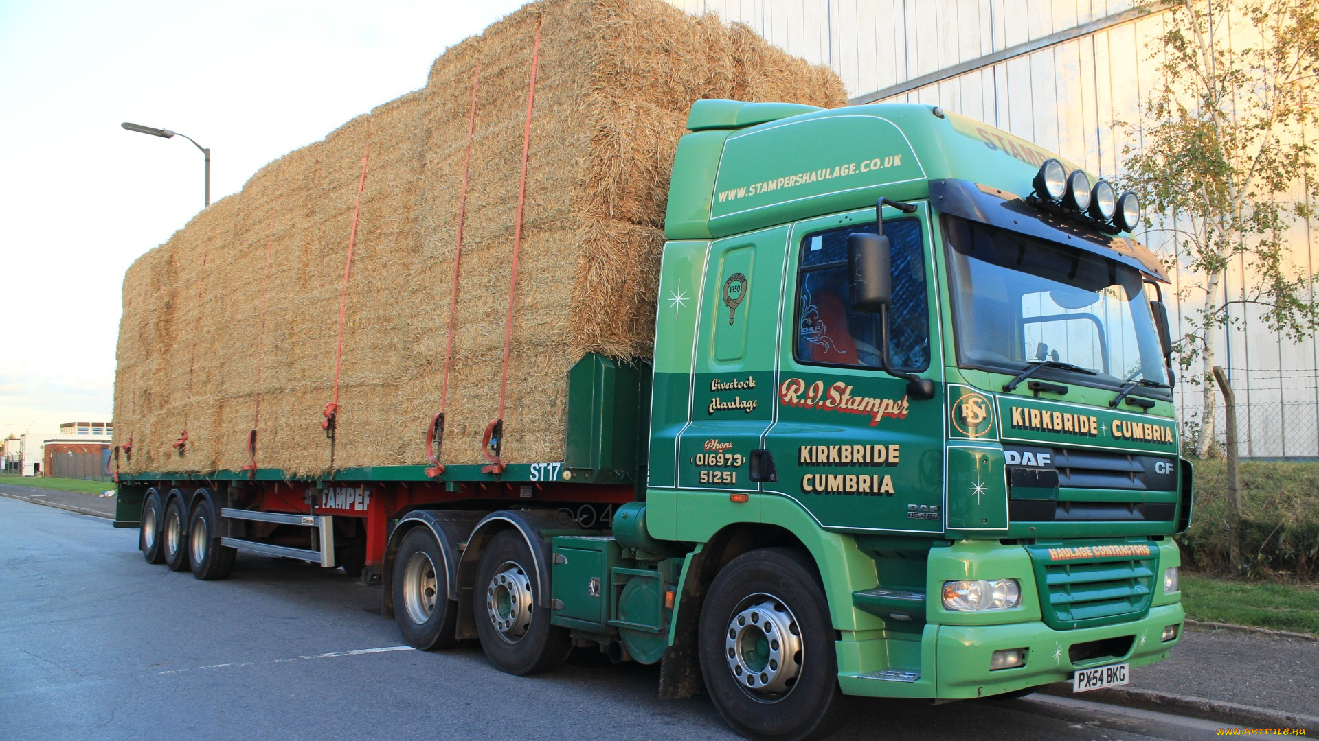 daf, автомобили, trucks, nv, седельные, тягачи, шасси, автобусы, нидерланды