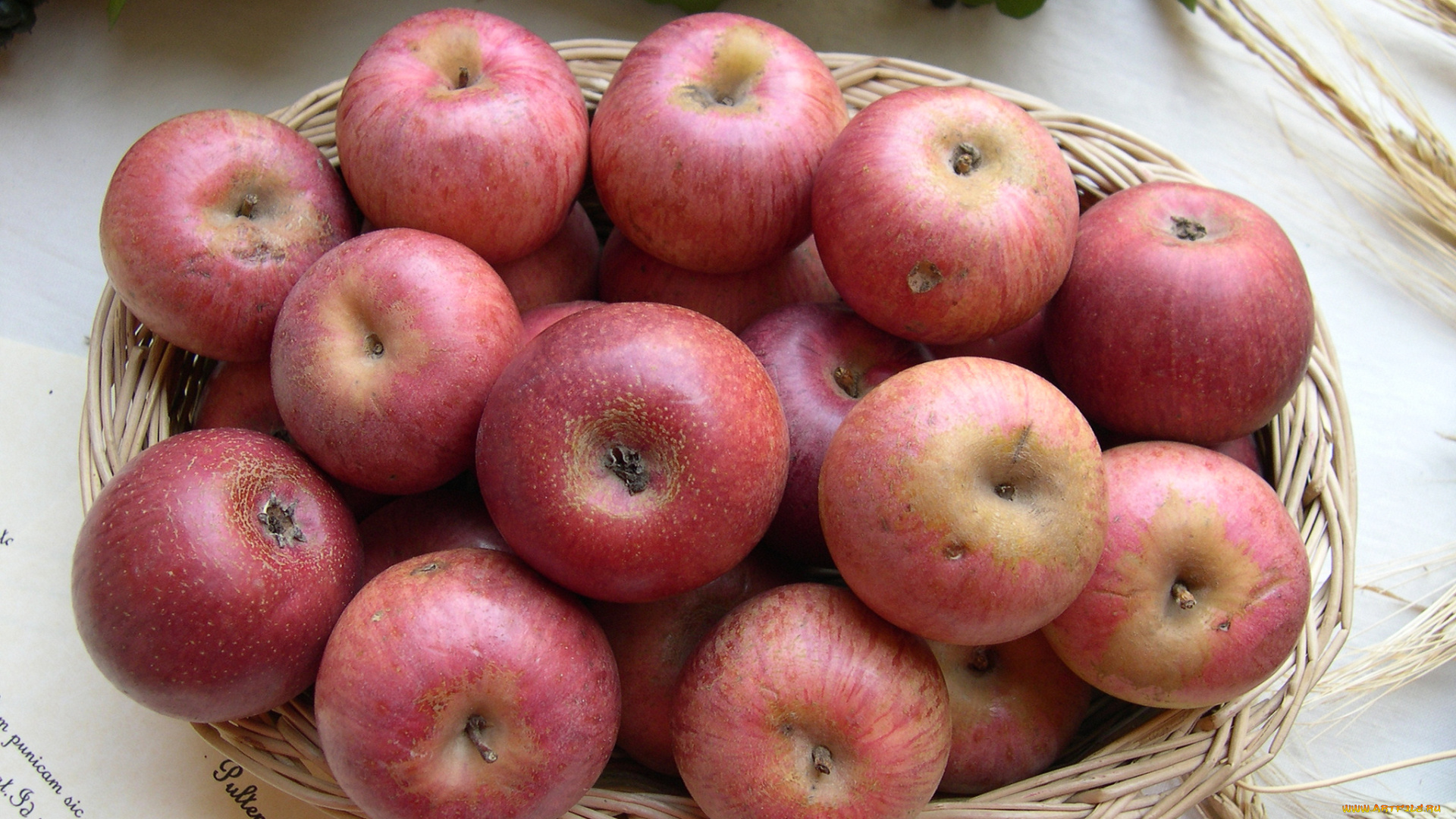 еда, Яблоки, ваза, яблоки