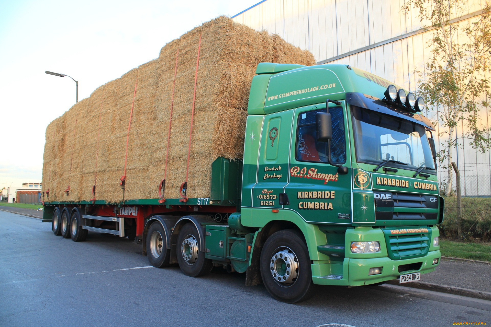 daf, автомобили, trucks, nv, седельные, тягачи, шасси, автобусы, нидерланды