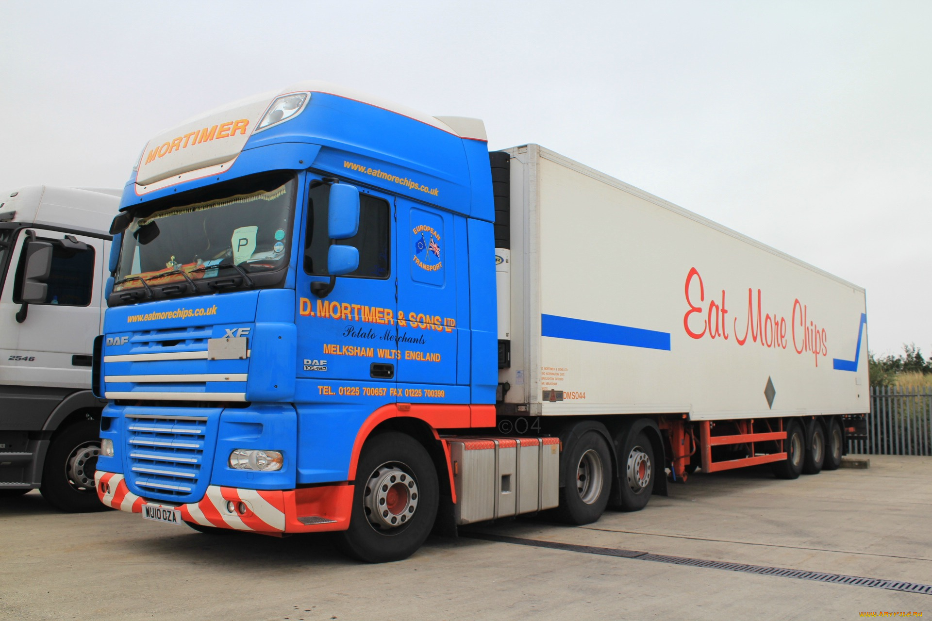 daf, автомобили, trucks, nv, седельные, тягачи, шасси, автобусы, нидерланды