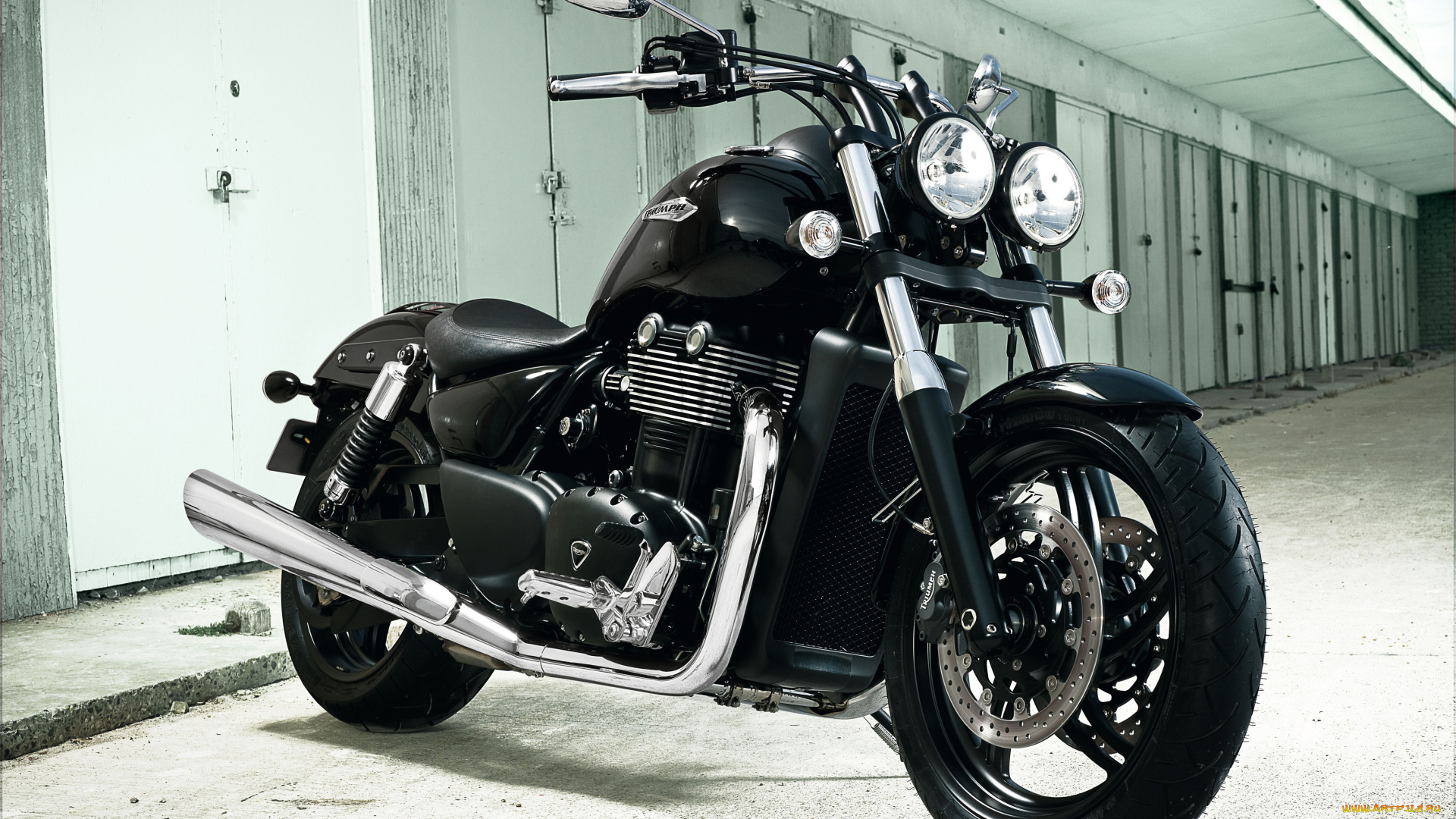 мотоциклы, triumph