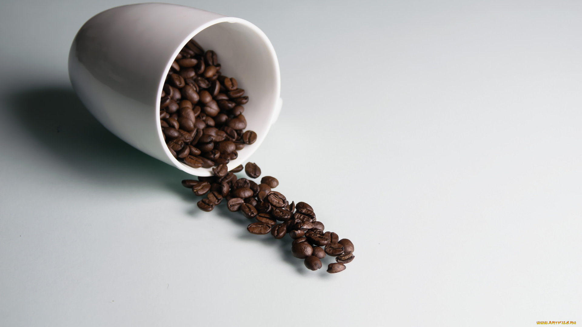 еда, кофе, , кофейные, зёрна, чашка, зерна