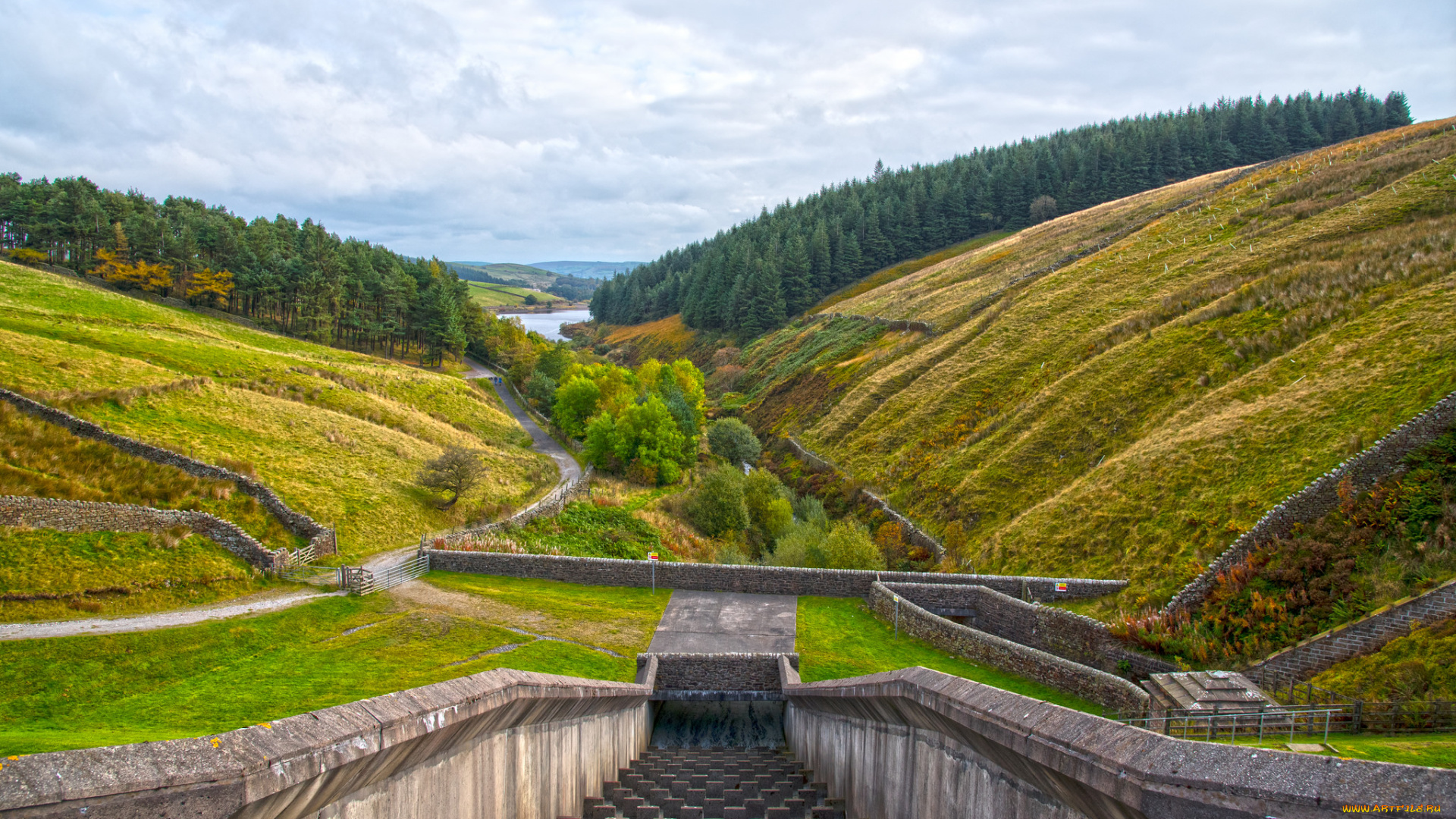 природа, другое, плотина, река, лес