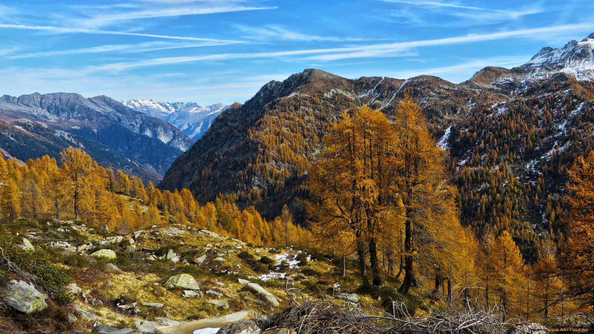 природа, горы, скалы, лес