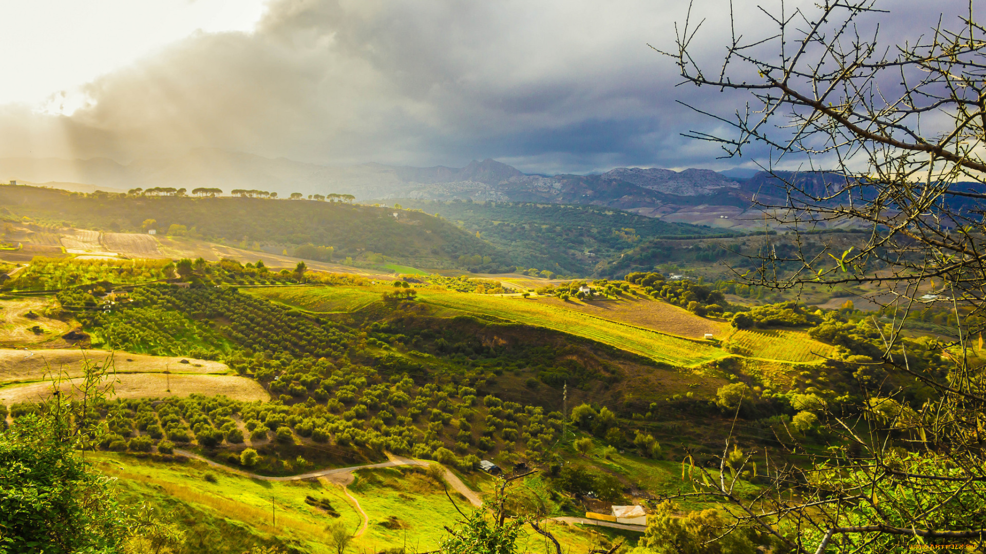 природа, пейзажи, равнина