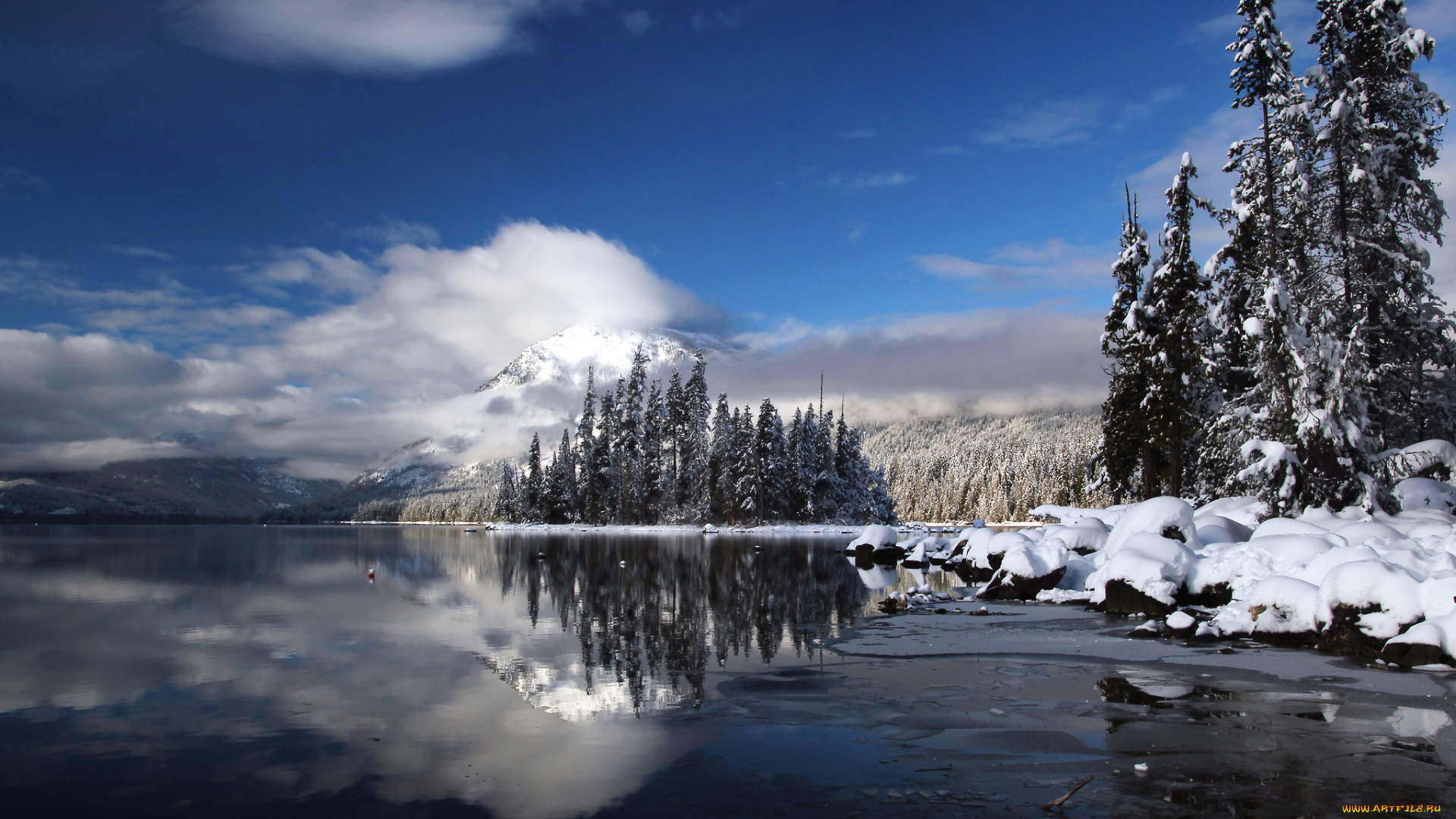 природа, реки, озера, река, лес