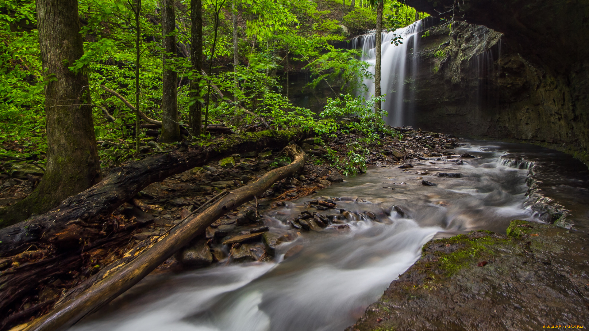 природа, водопады, водопад, лес, река