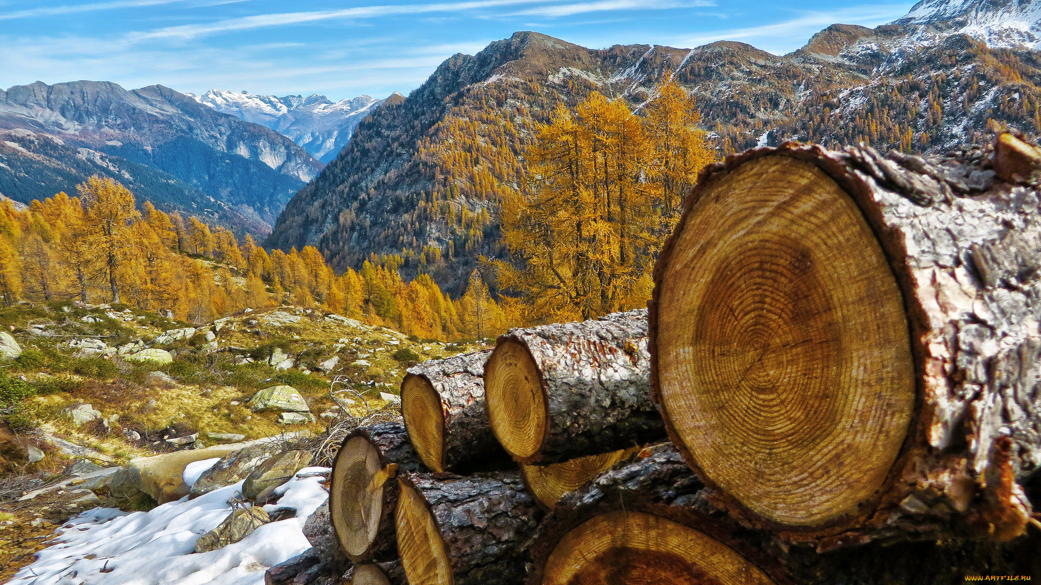 природа, горы, лес, осень, скалы