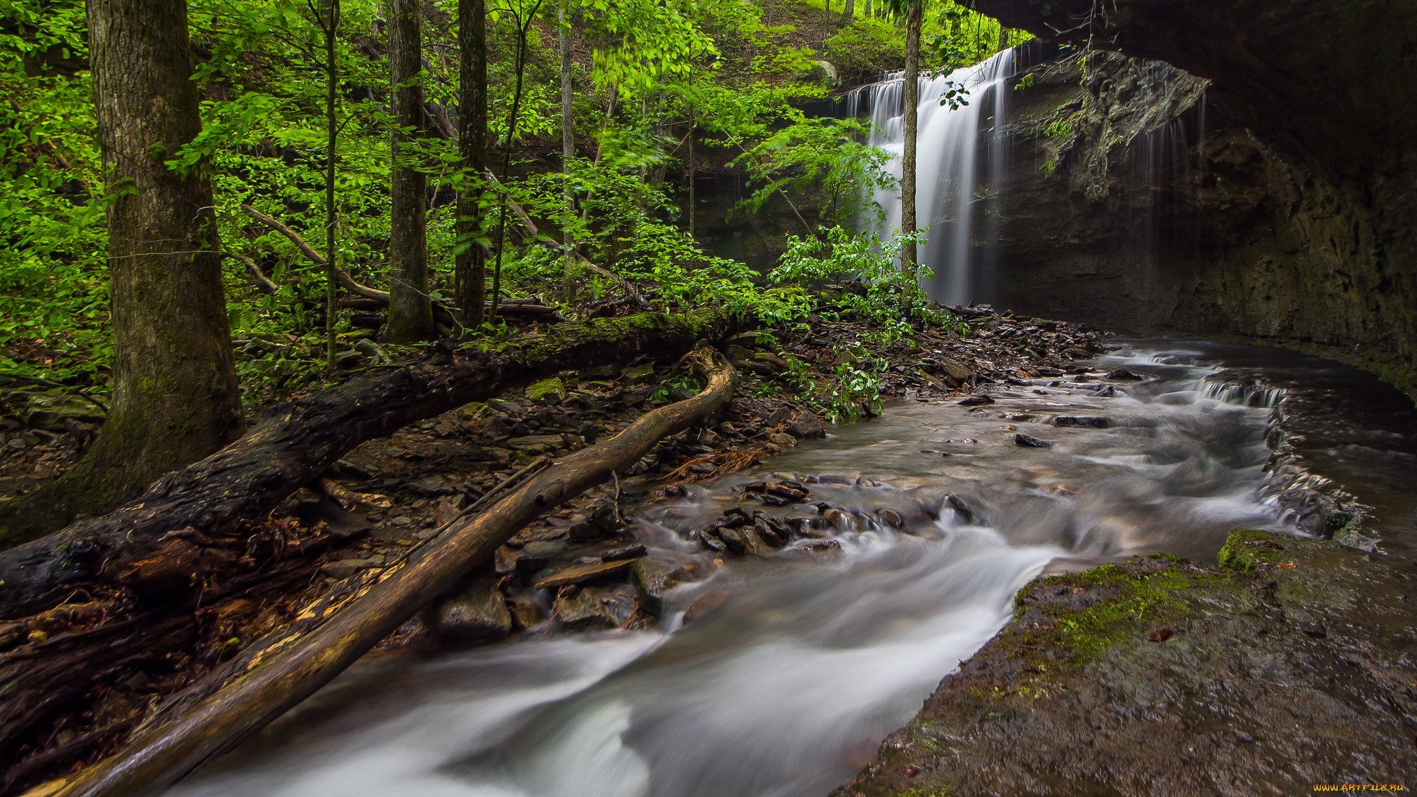 природа, водопады, водопад, лес, река