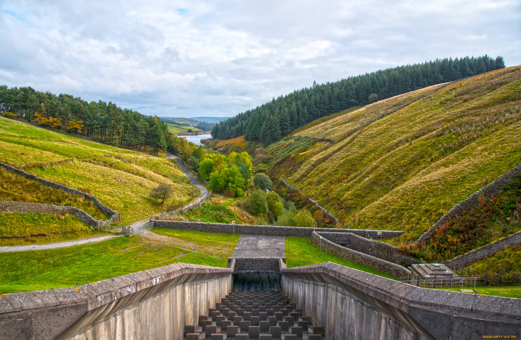 природа, другое, плотина, река, лес