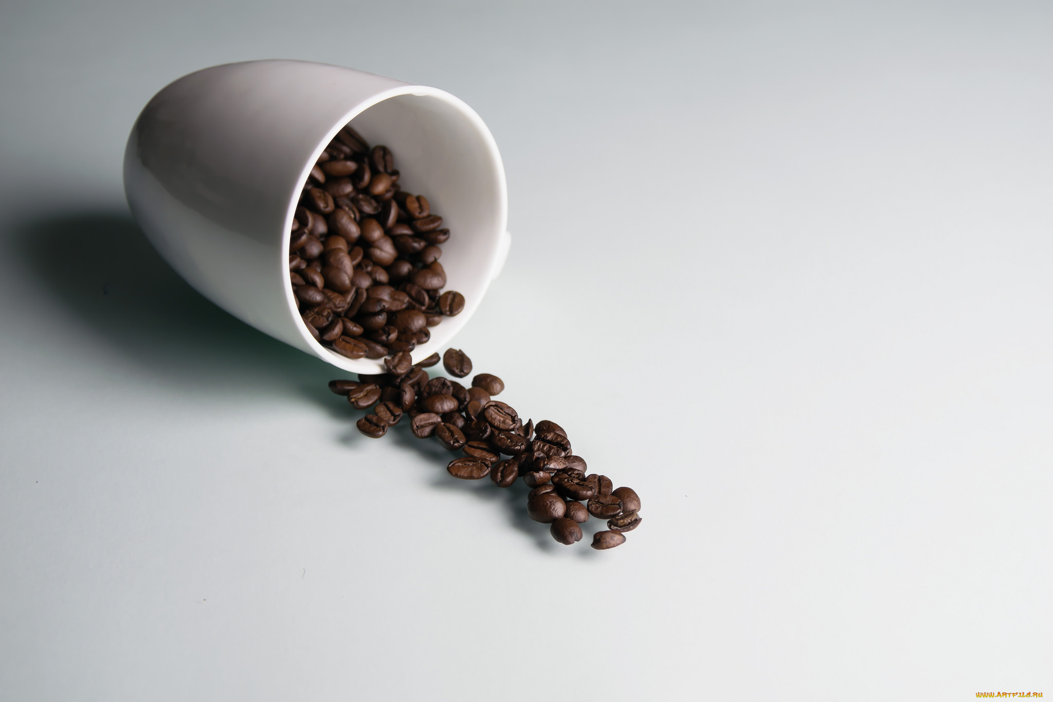 еда, кофе, , кофейные, зёрна, чашка, зерна