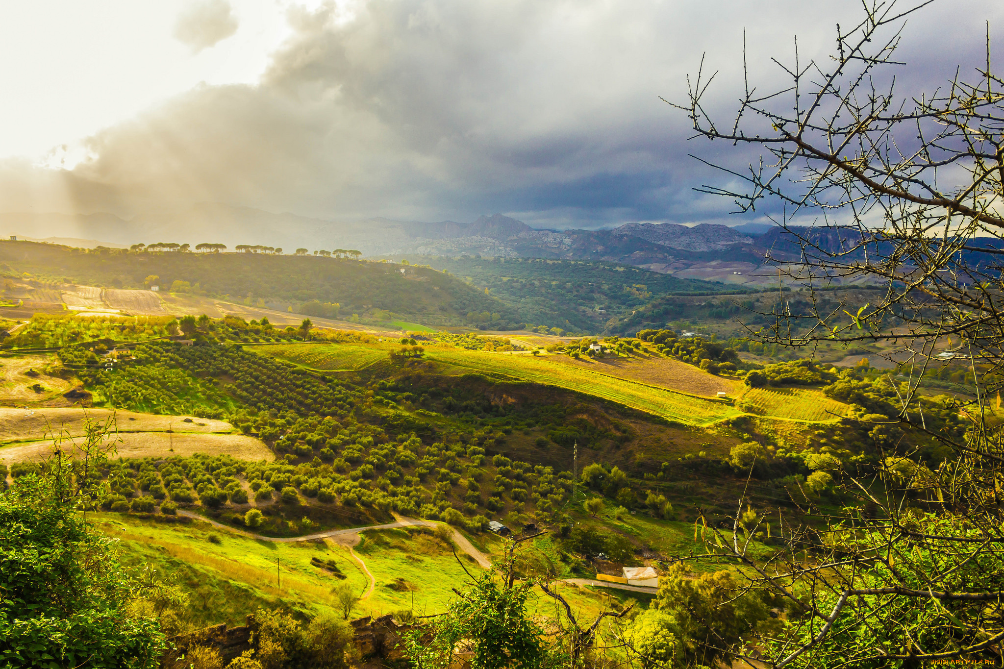 природа, пейзажи, равнина