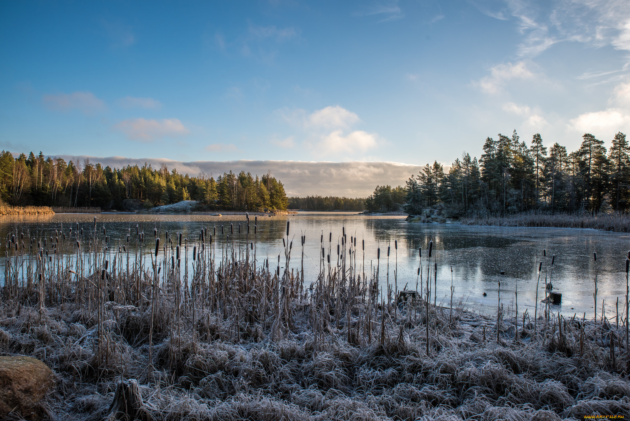 природа, реки, озера, утро